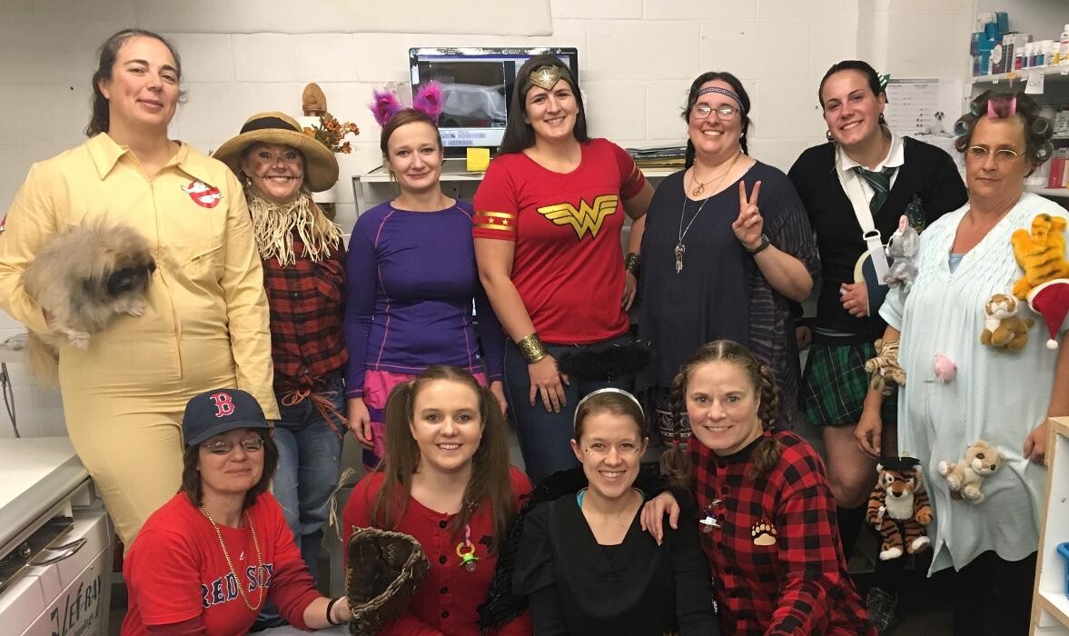 Images Associated Veterinary Services