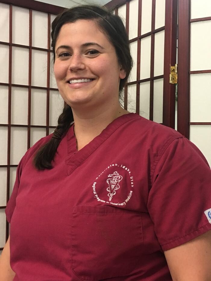 Images Associated Veterinary Services