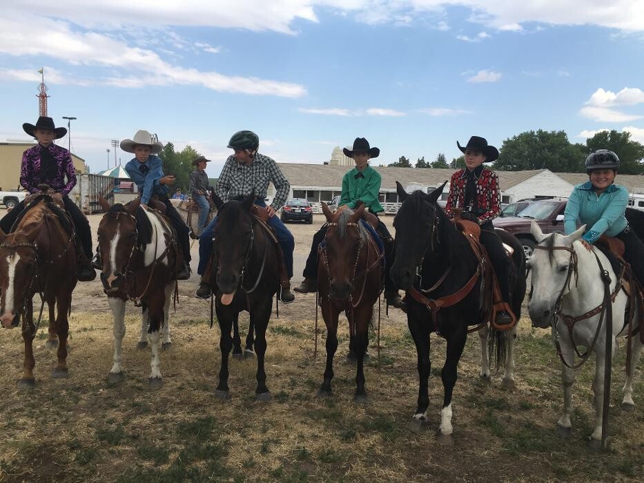 Images Associated Veterinary Services