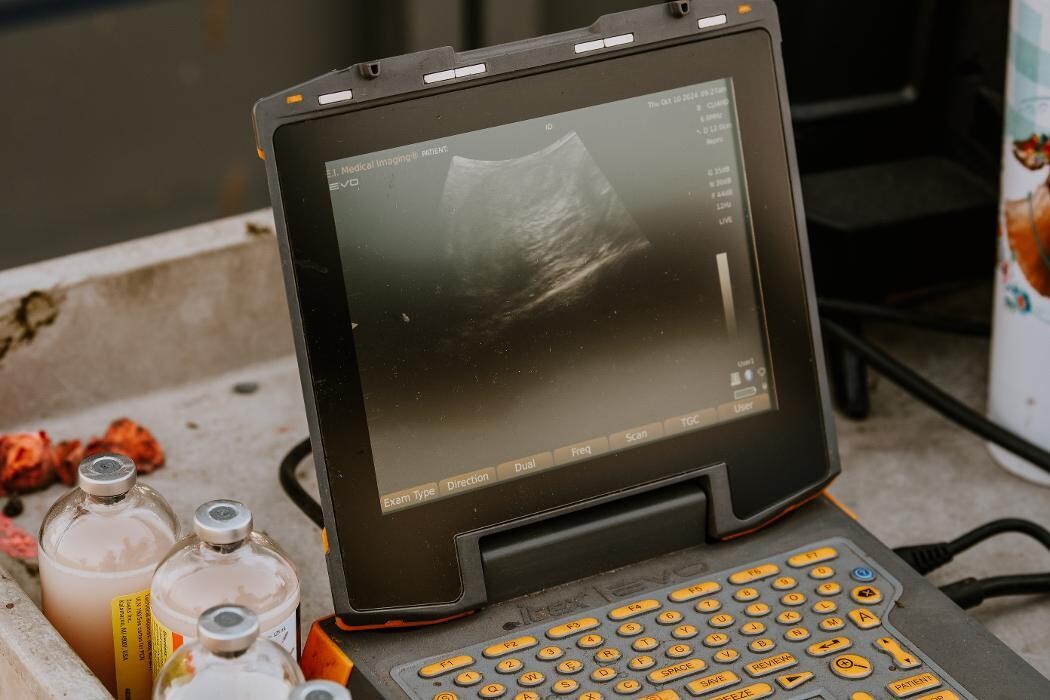 Images Southwood Veterinary Clinic