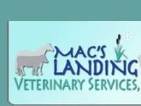 Website Screenshot Mac's Landing Veterinary Services