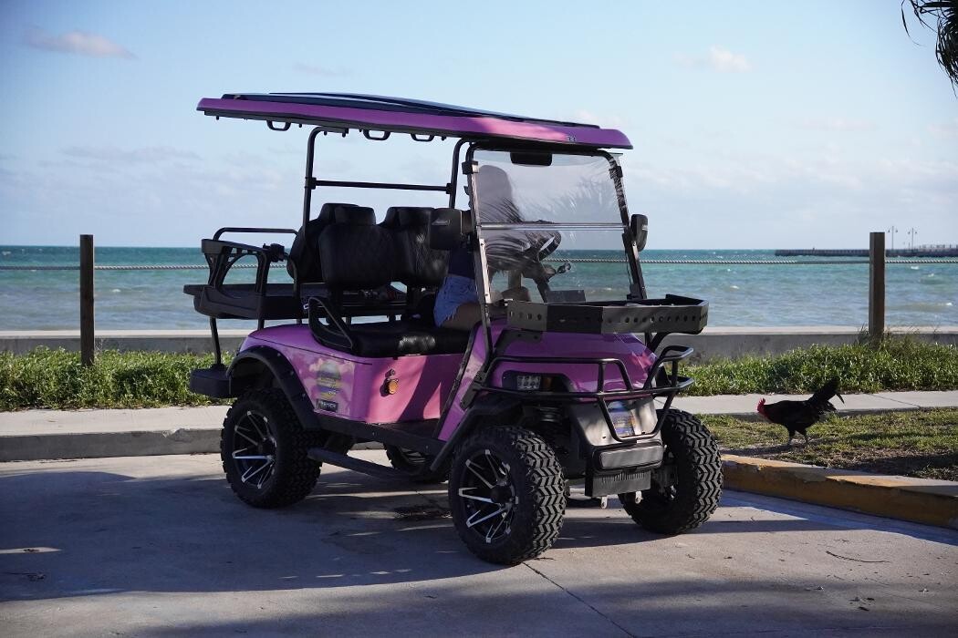 Images PARADISE RENTALS KW