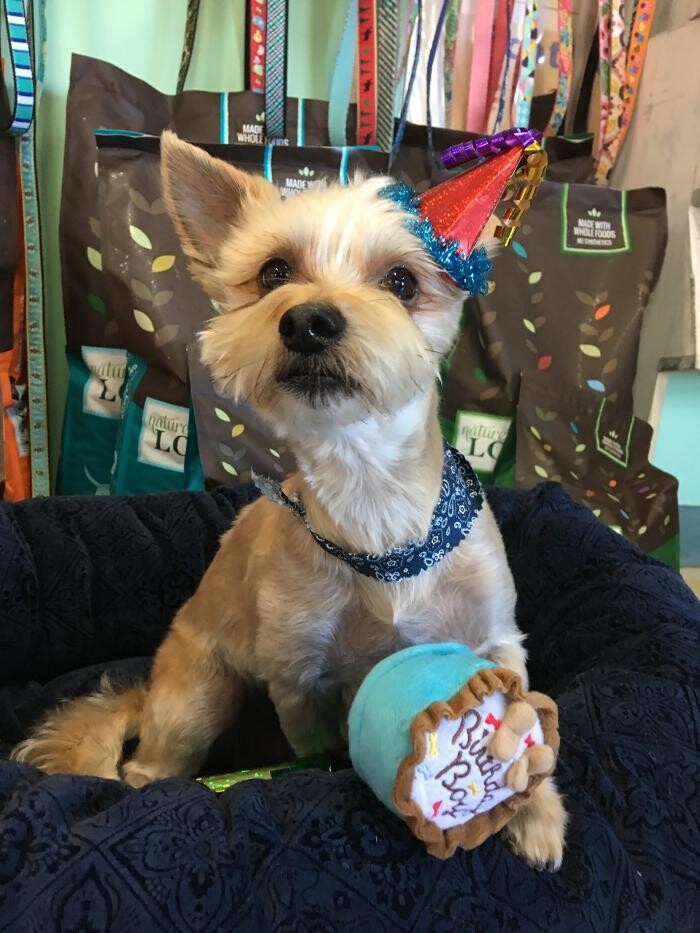 Images Petlover Central, Inc.