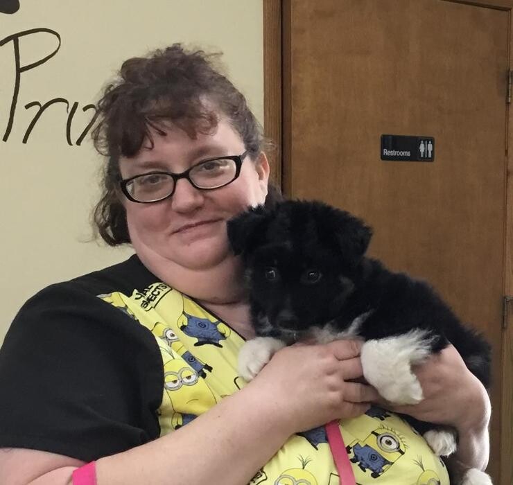 Images Albion Animal Center