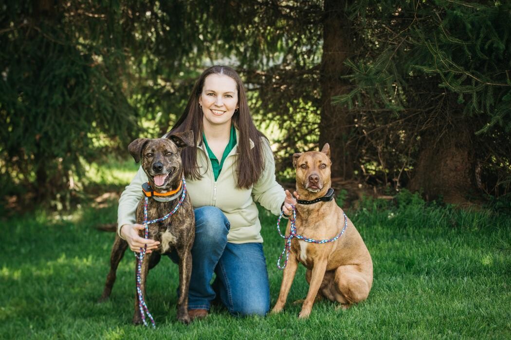 Images Albion Animal Center