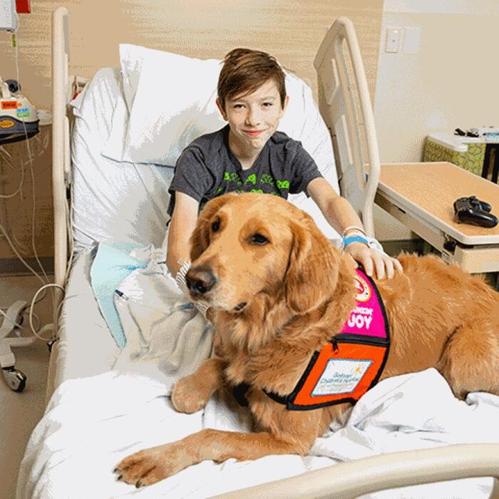 Images Golisano Children's Hospital Emergency Department for Kids