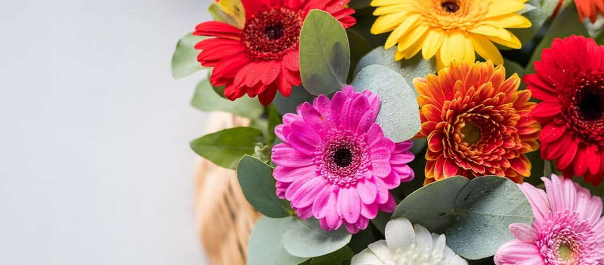 Images Albuquerque Florists