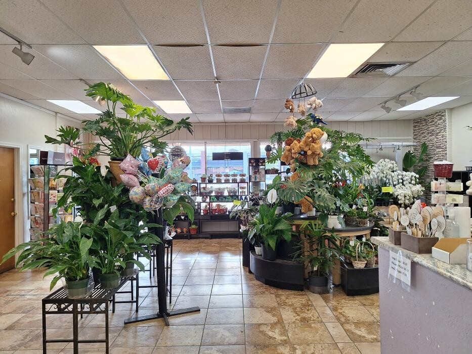 Images Albuquerque Florists