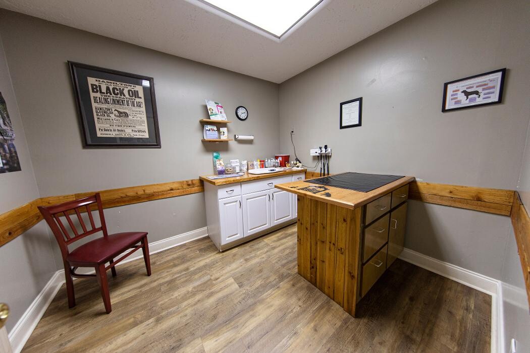 Images Social Circle Veterinary Hospital