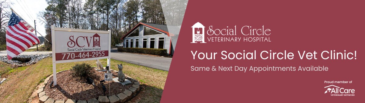 Images Social Circle Veterinary Hospital
