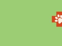 Website Screenshot Pride Animal Hospital