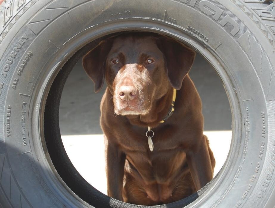 Images Nisswa Automotive