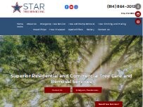 Website Screenshot Star Tree Service
