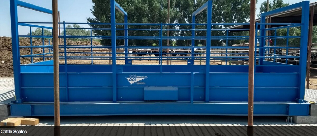 Images Total Scale Service, Inc