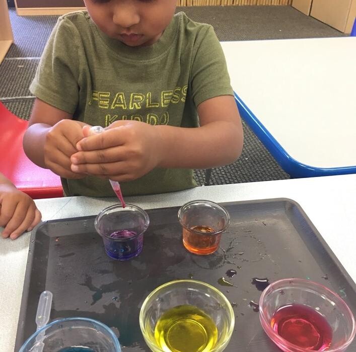 Images Safari Kid Montessori - Mission
