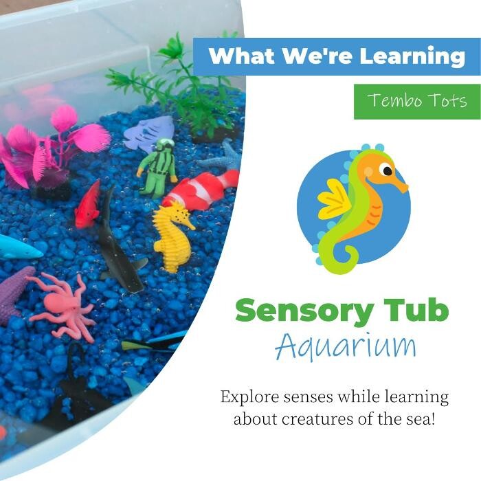 Images Safari Kid Montessori - Mission