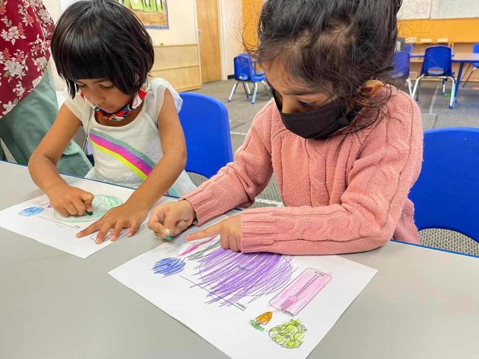 Images Safari Kid Montessori - Mission