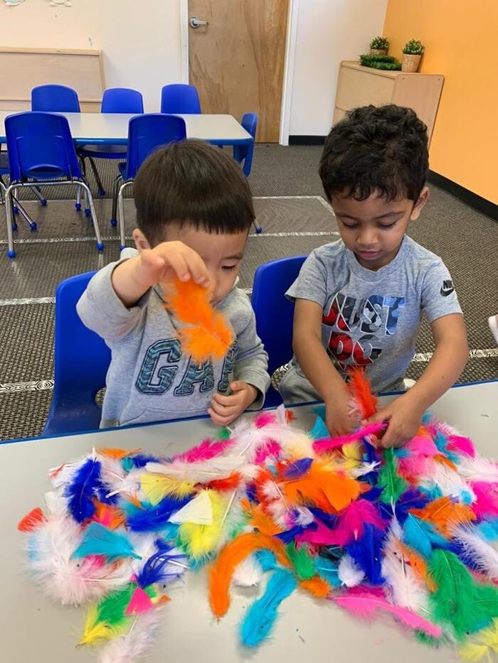 Images Safari Kid Montessori - Mission