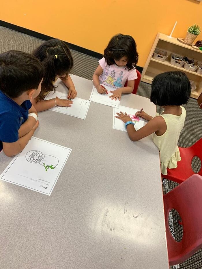 Images Safari Kid Montessori - Mission