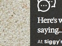 Website Screenshot Siggy's Carpet Cleaning