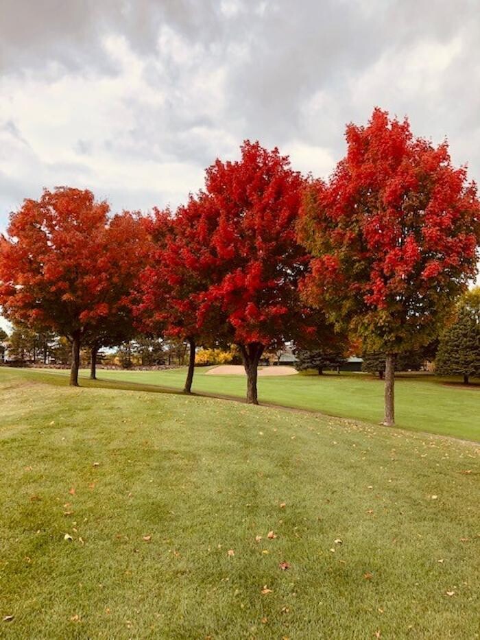 Images Stonebrooke Golf Club