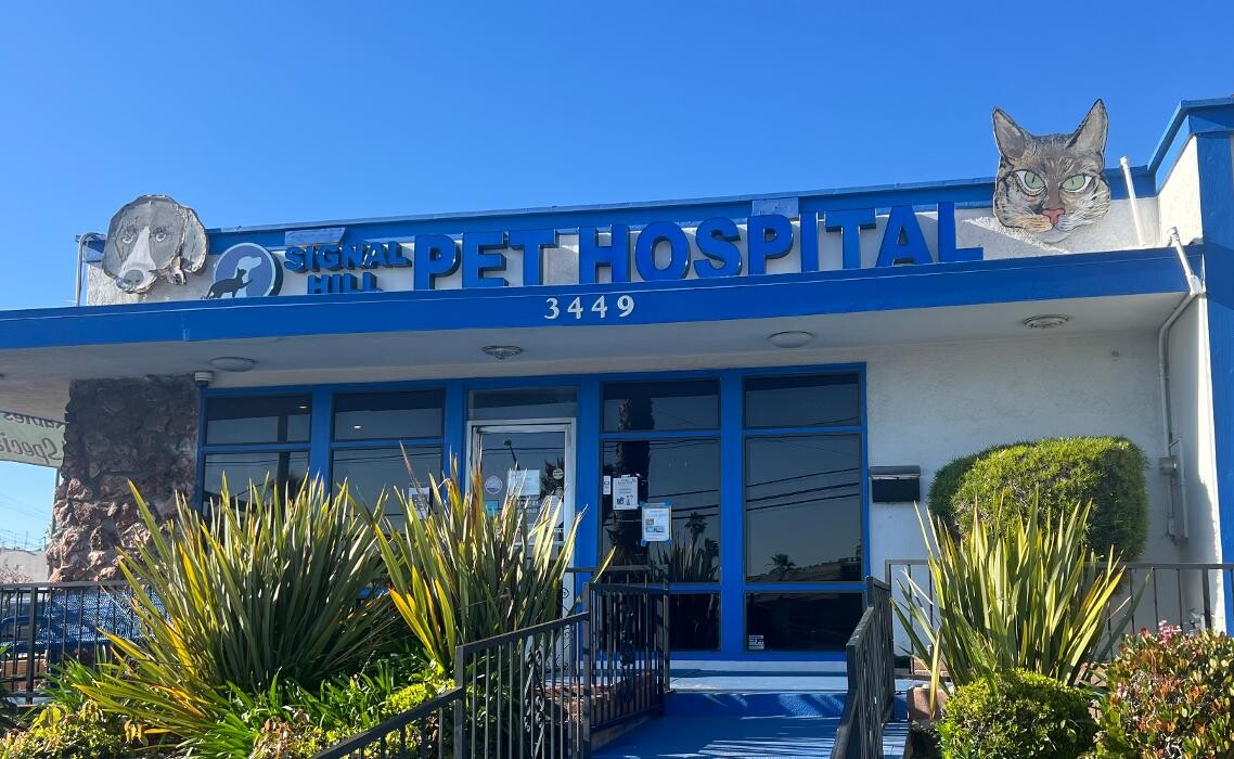 Images Signal Hill Pet Hospital