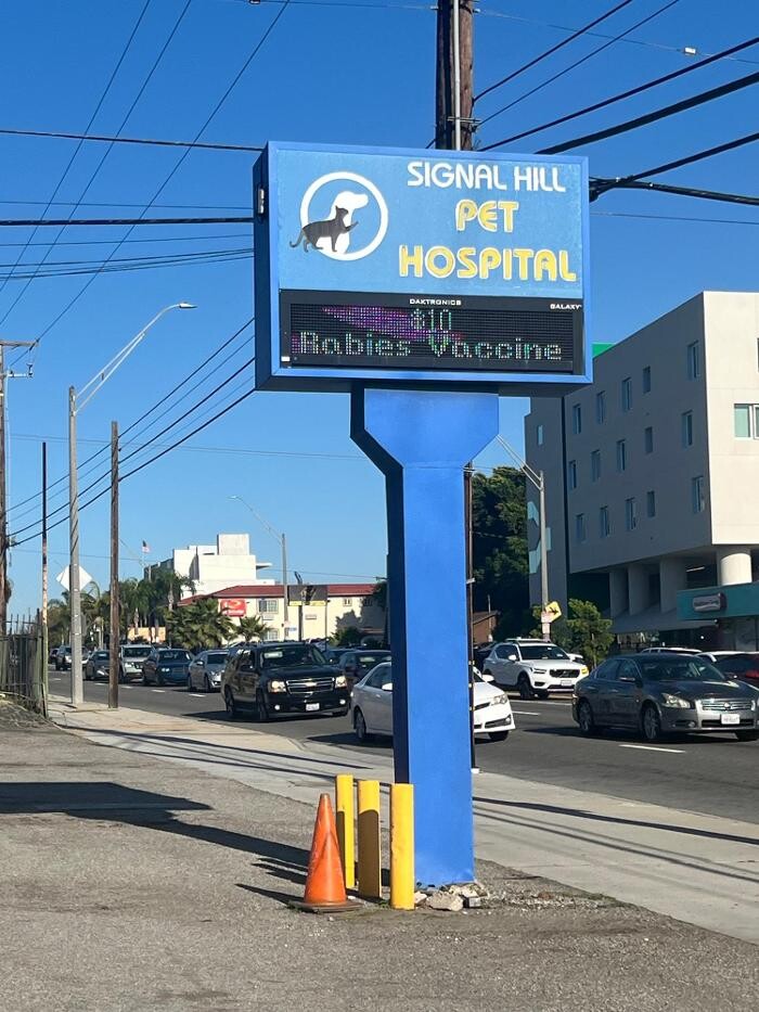 Images Signal Hill Pet Hospital