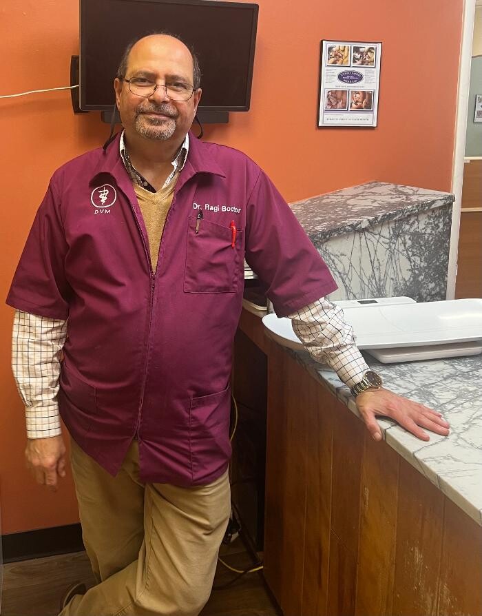 Images Signal Hill Pet Hospital