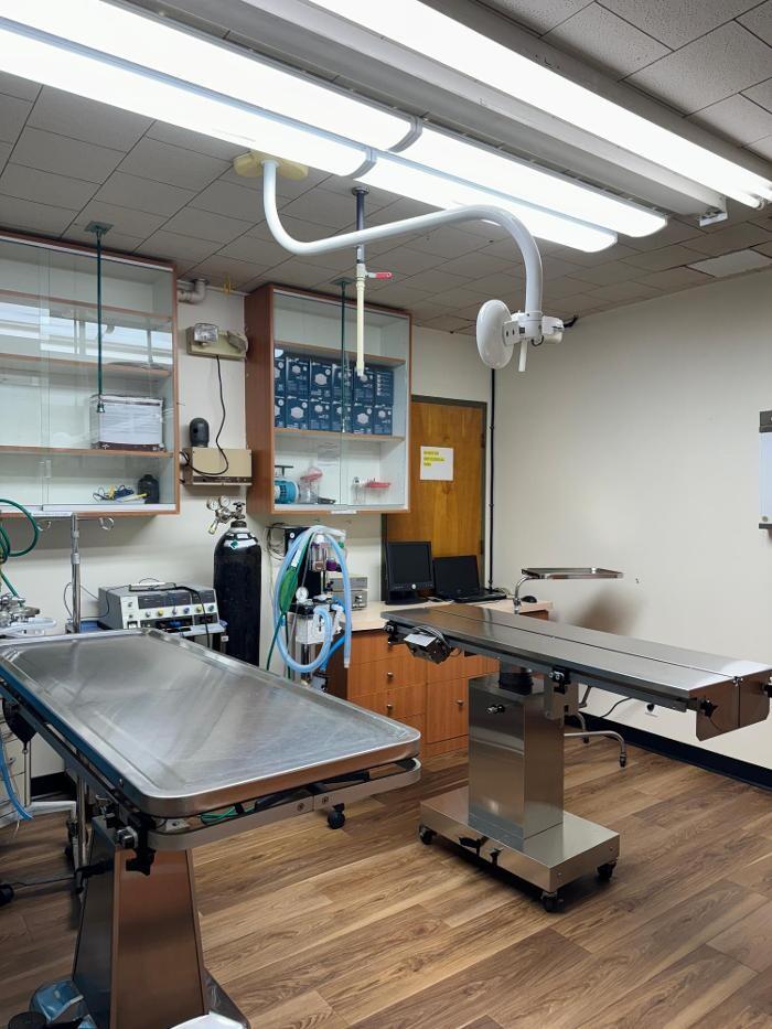 Images Signal Hill Pet Hospital