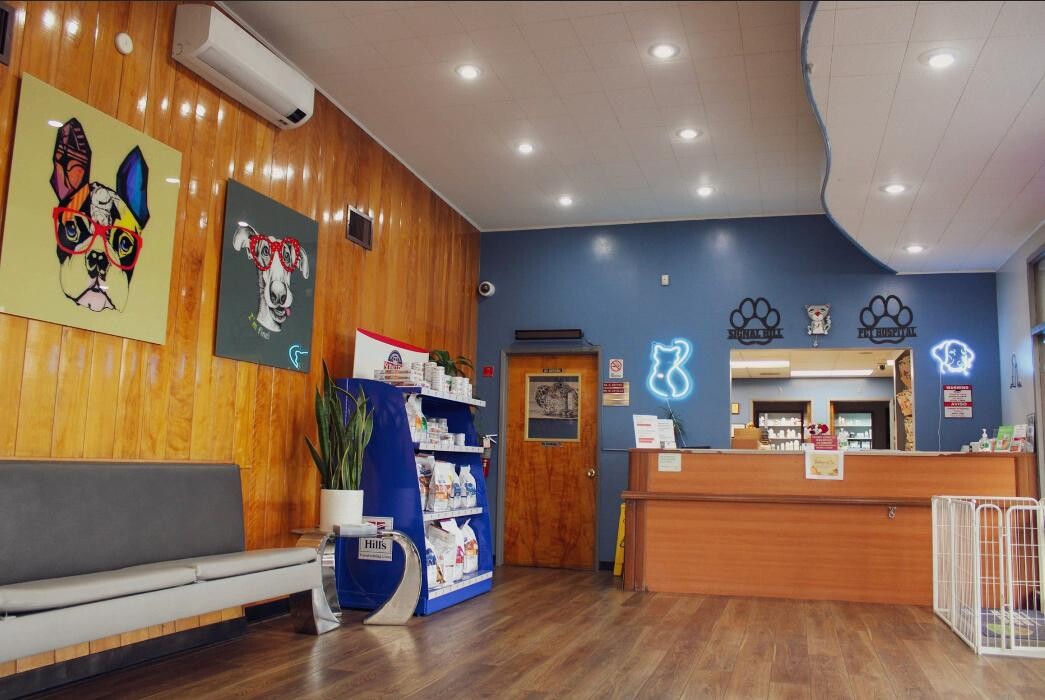 Images Signal Hill Pet Hospital