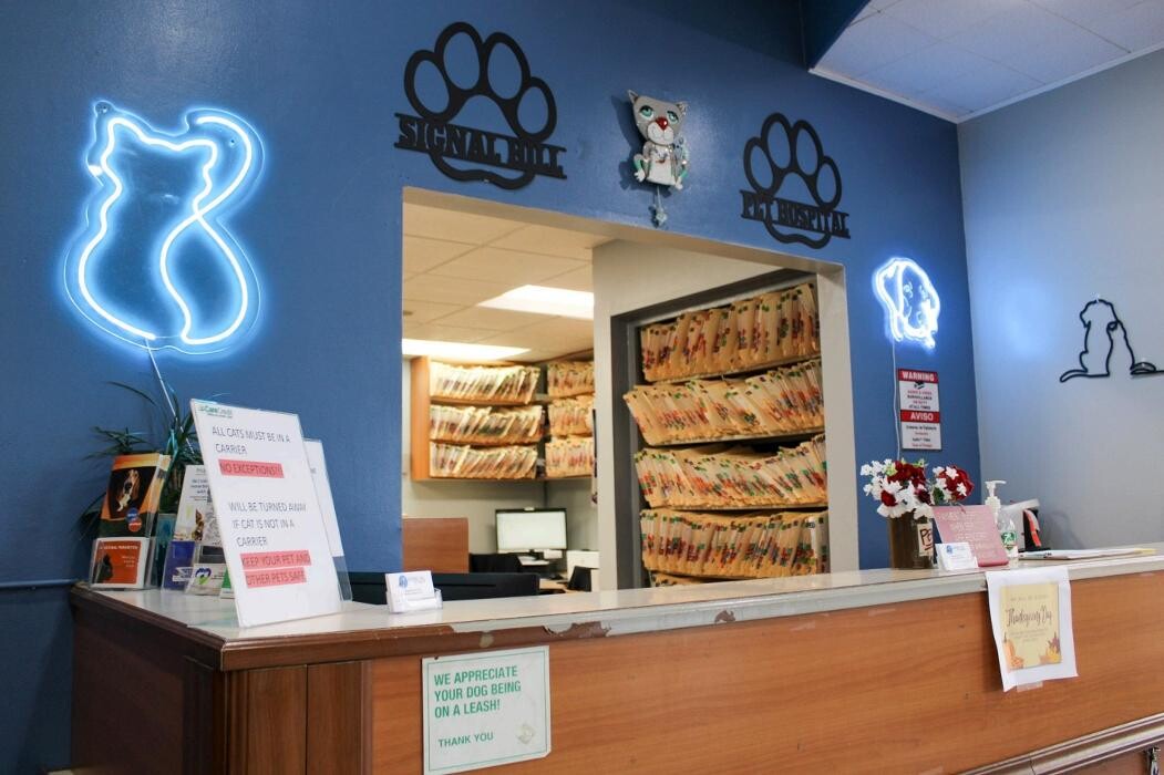 Images Signal Hill Pet Hospital
