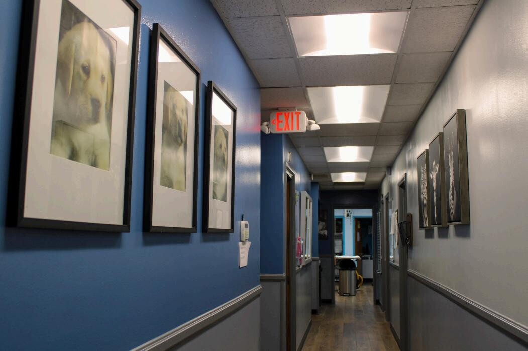 Images Signal Hill Pet Hospital
