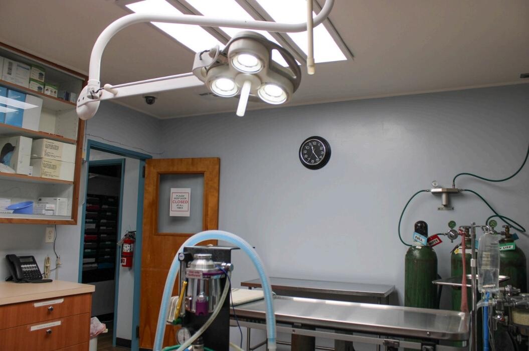 Images Signal Hill Pet Hospital