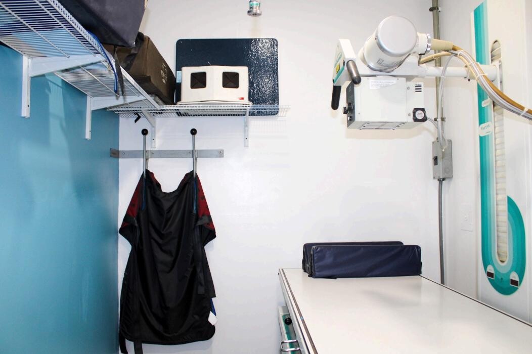Images Signal Hill Pet Hospital
