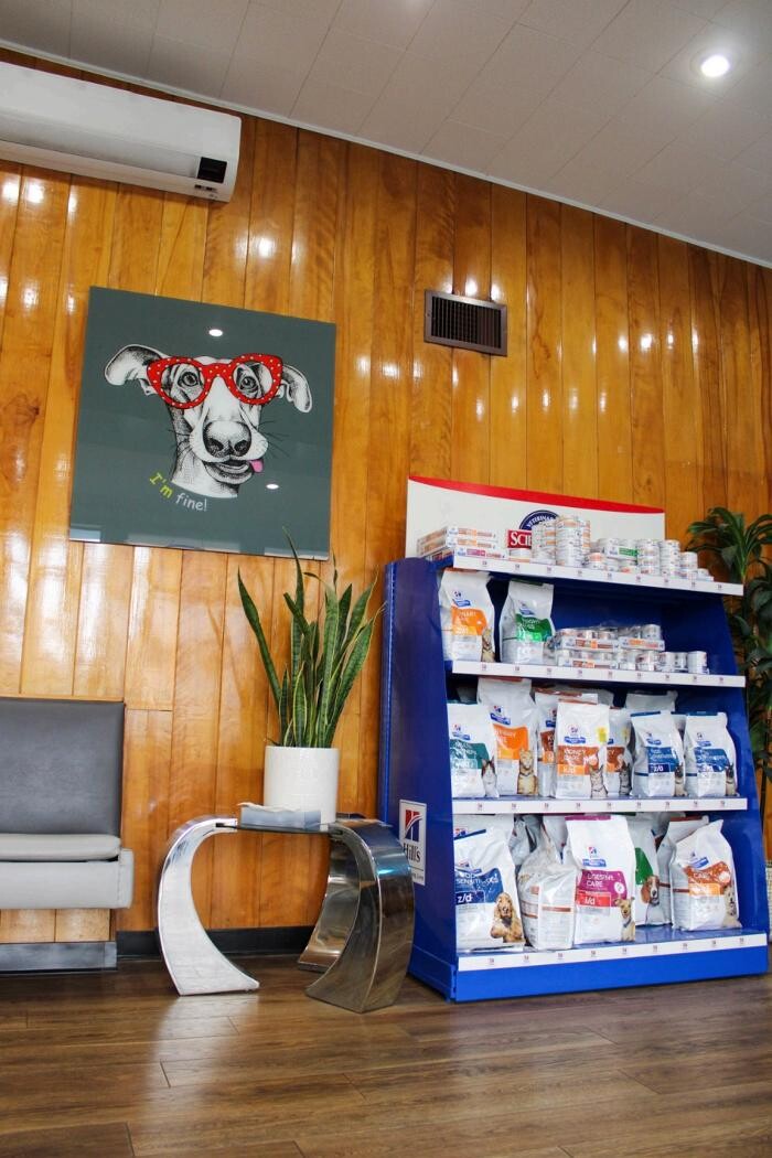 Images Signal Hill Pet Hospital