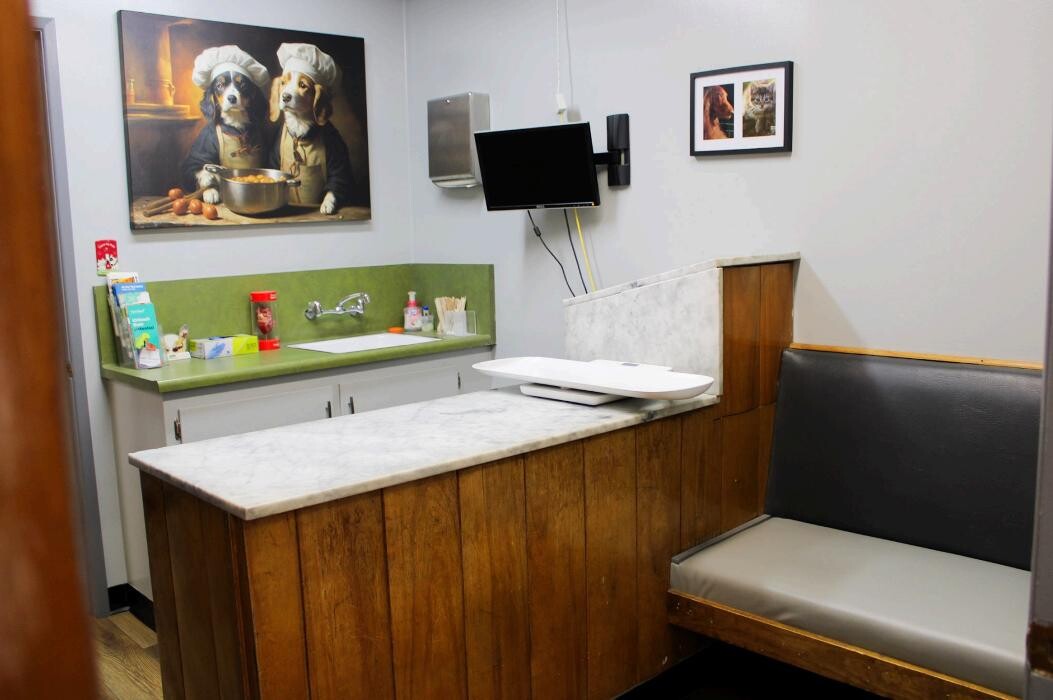 Images Signal Hill Pet Hospital