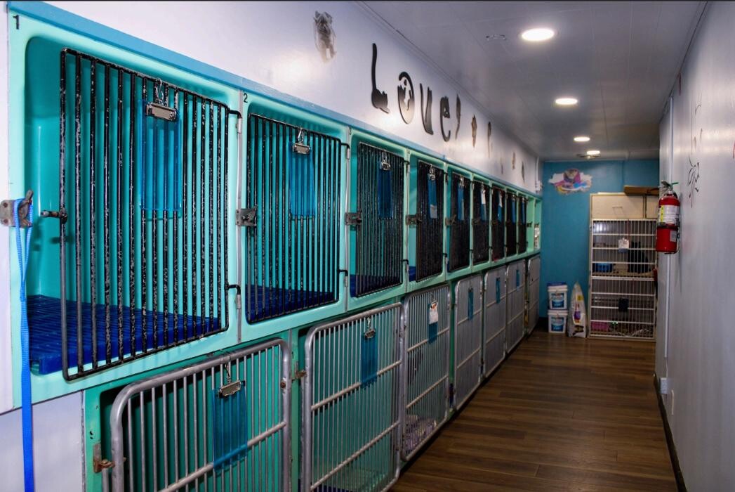 Images Signal Hill Pet Hospital