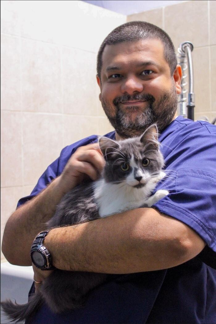 Images Signal Hill Pet Hospital