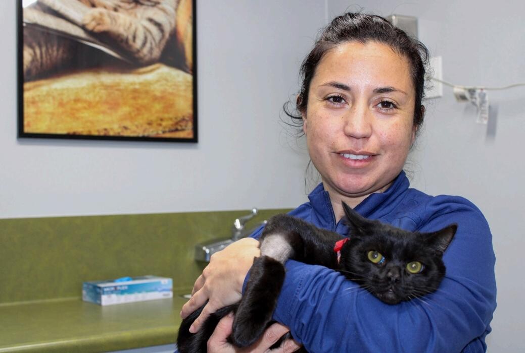 Images Signal Hill Pet Hospital