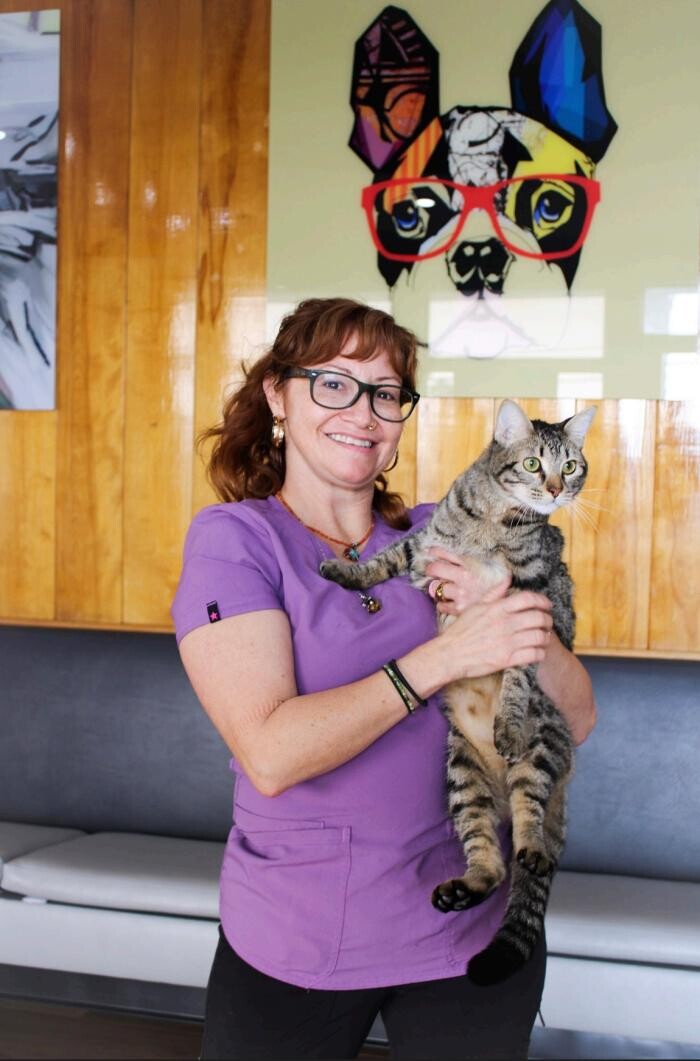 Images Signal Hill Pet Hospital