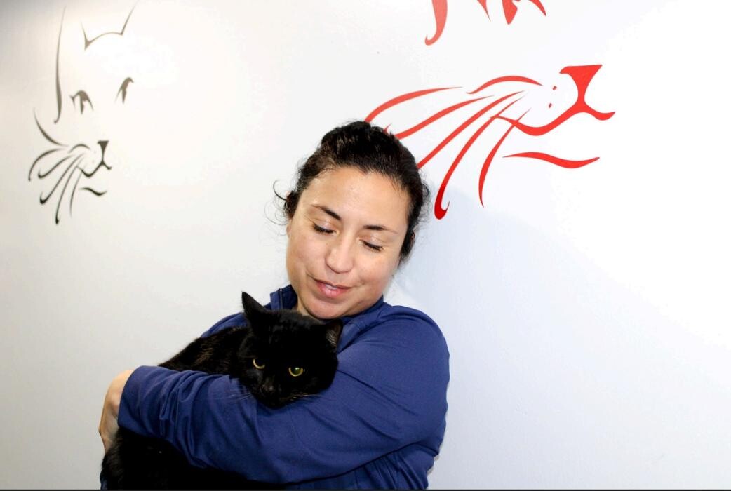 Images Signal Hill Pet Hospital