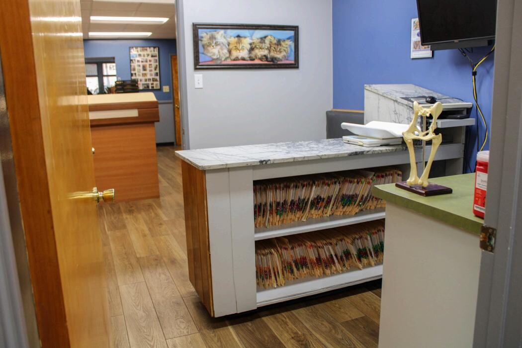 Images Signal Hill Pet Hospital
