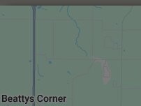 Website Screenshot Burger King