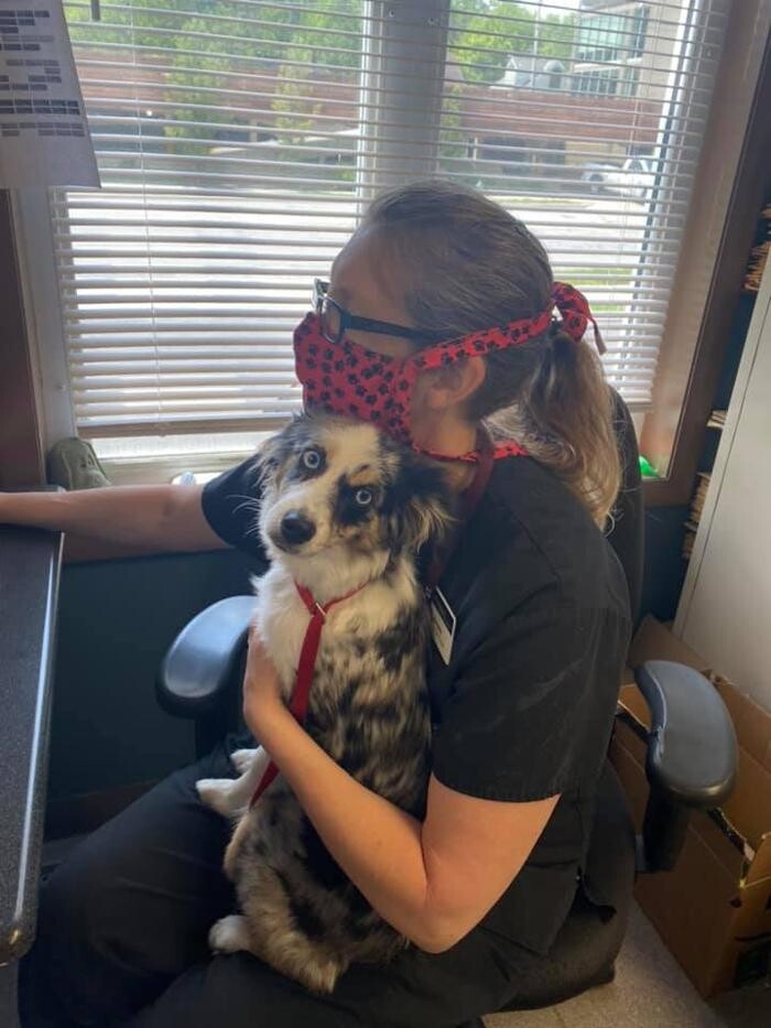 Images Rockhill Pet Clinic