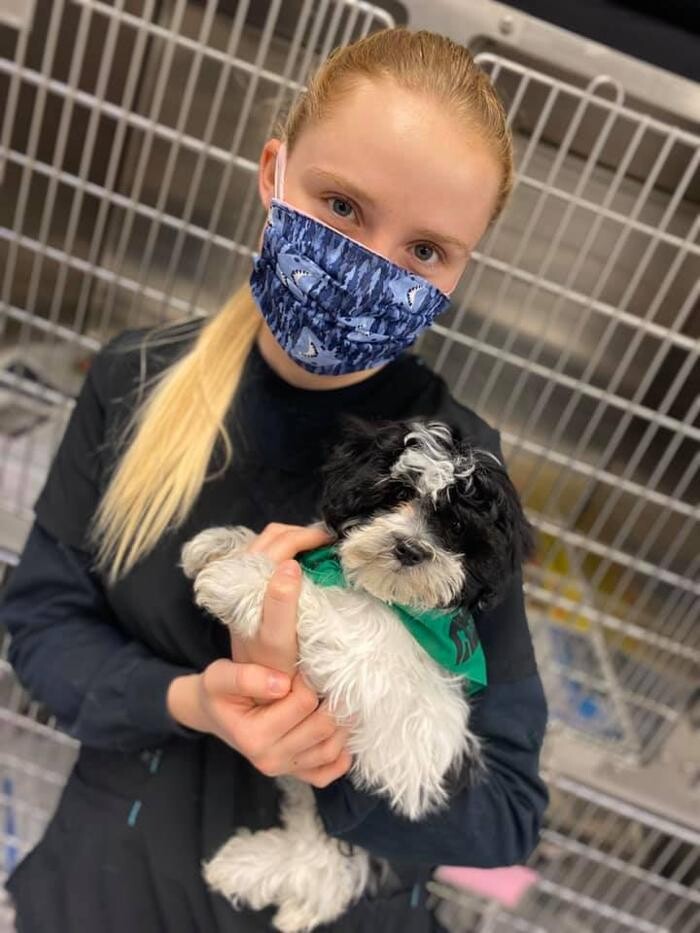 Images Rockhill Pet Clinic