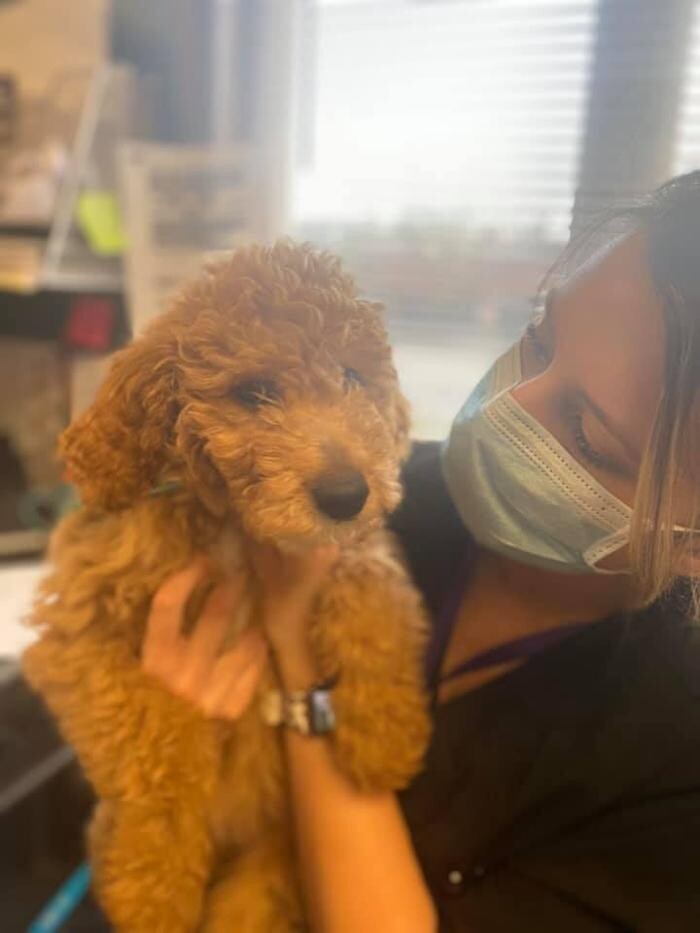 Images Rockhill Pet Clinic