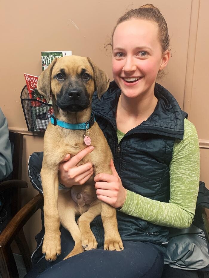 Images Rockhill Pet Clinic