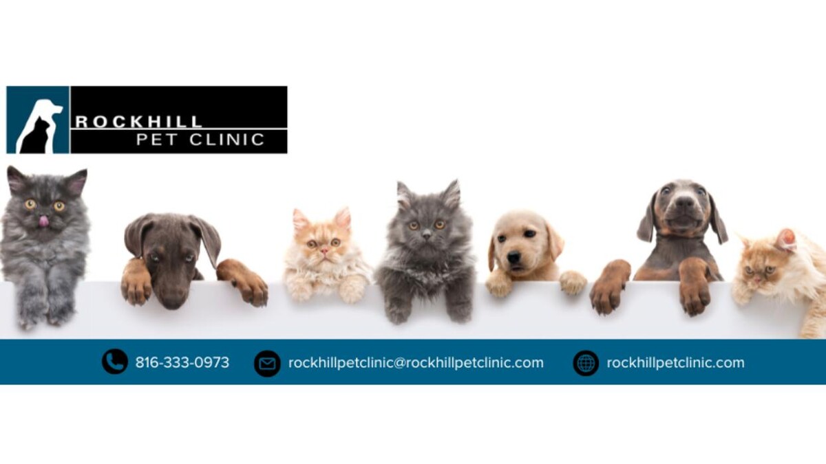 Images Rockhill Pet Clinic
