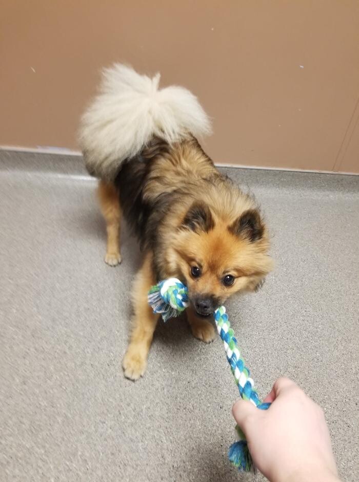 Images Rockhill Pet Clinic