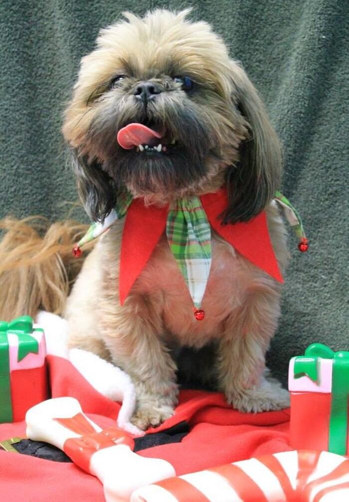 Images Rockhill Pet Clinic